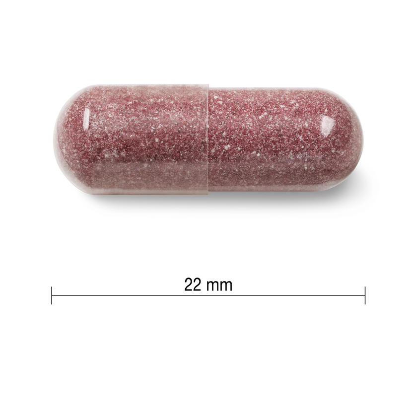 JAMIESON Craneberry蔓越莓複合物 500MG 60粒(到期日:28年4月)