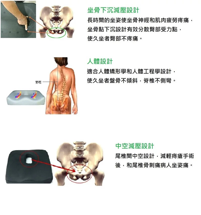 6孔高記憶海棉座墊