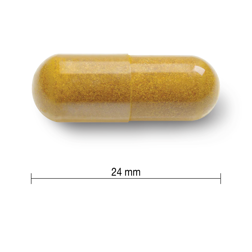 JAMIESON CURCUMIN  薑黃素550MG 90粒（到期日：28年9月）