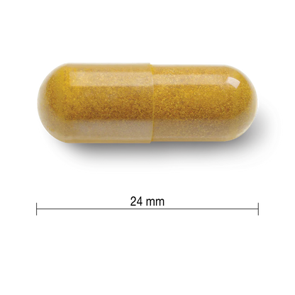 JAMIESON CURCUMIN  薑黃素550MG 90粒（到期日：28年9月）