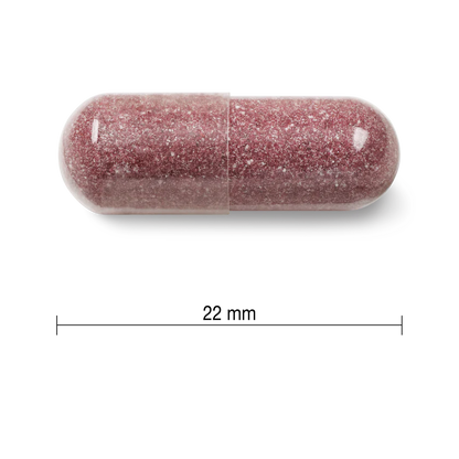 JAMIESON Craneberry蔓越莓複合物 500MG  60粒（到期日：28年4月）