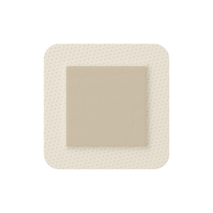 【預定貨品】瑞典 Molnlycke Mepilex Border Ag 銀離子有邊型敷料貼 (1盒5片)